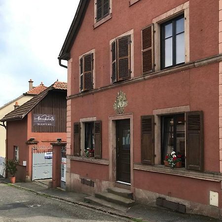 La Bacchante Saint-Hippolyte  Exterior photo
